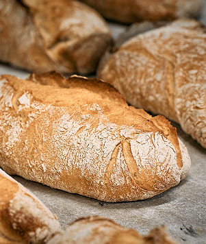 Frisch gebackener Brotlaib von Bäckerei Schrott mit knuspriger, bemehlter Kruste auf dem Backblech.