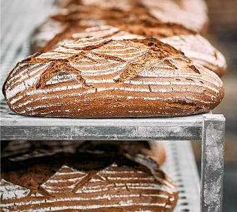 Mariahilfer Krustenbrot von Bäckerei Schrott mit kräftiger Kruste und bemehltem Muster, frisch aus dem Ofen.